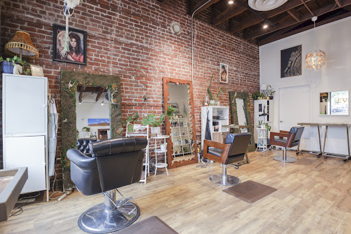 Evergreen Beauty and Wellness Collaborative