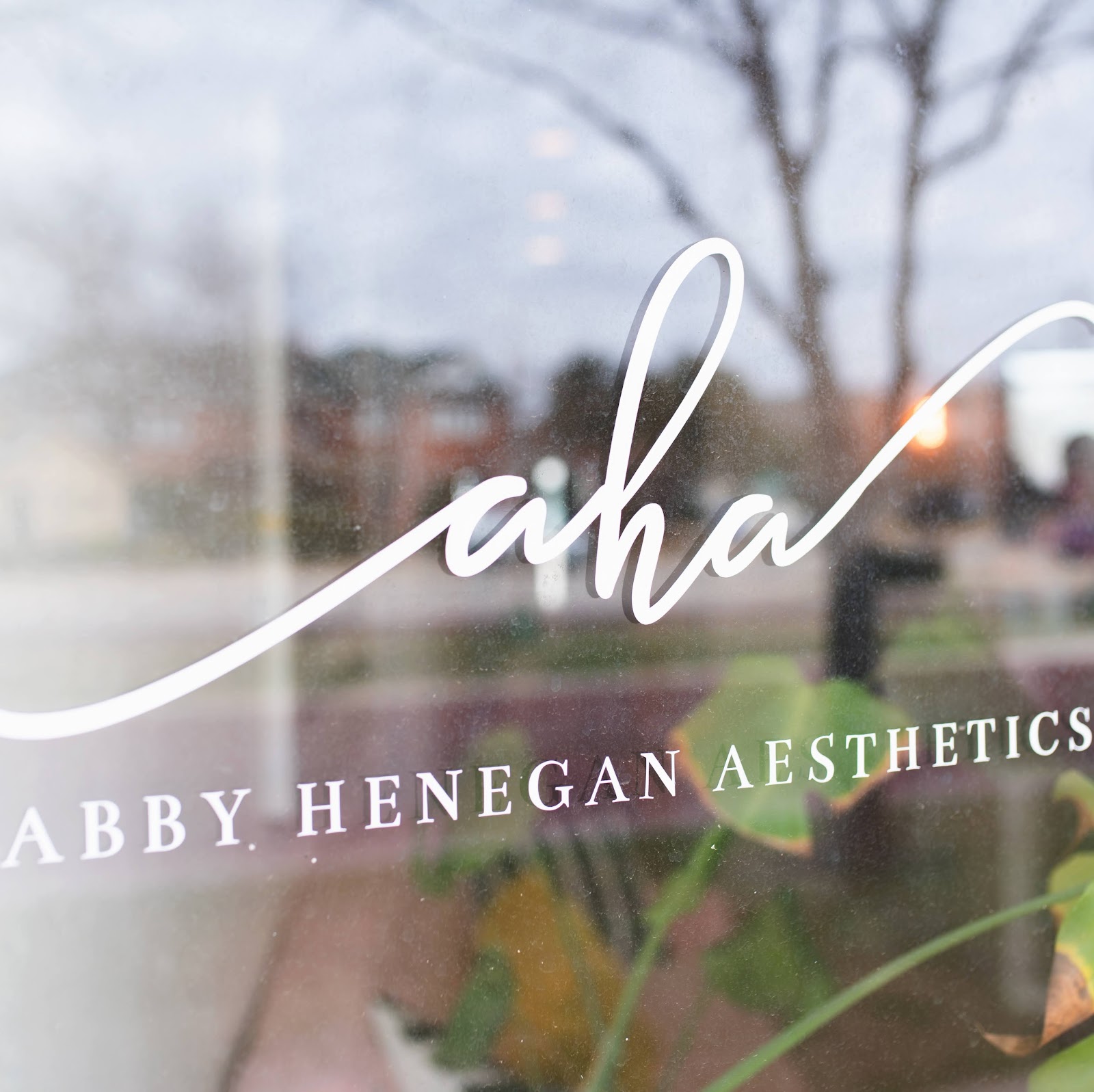 Abby Henegan Aesthetics