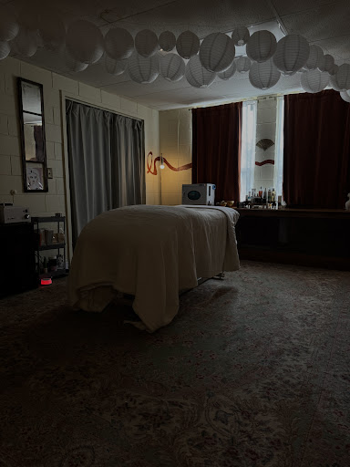 Whole Skin Studio